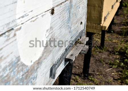 Similar – Image, Stock Photo Beehives on flowering willow