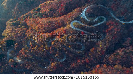 Similar – Image, Stock Photo Curvy Street