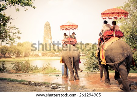 Tourists riding elephants in Ayutthaya,Thailand