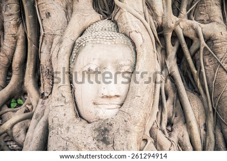 Head of Buddha statue in the tree roots at Wat Mahathat temple, Ayutthaya, Thailand.