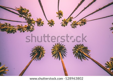 Similar – Image, Stock Photo Tall palms of Beverly Hills in Los Angeles r