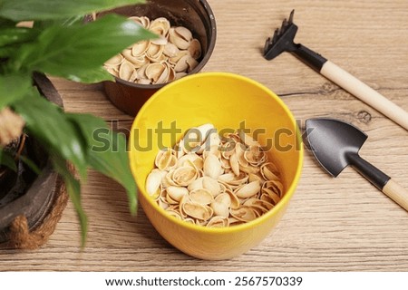 Similar – Image, Stock Photo Recycled pot full of succulent plants