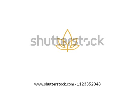maple cannabis logo icon vector