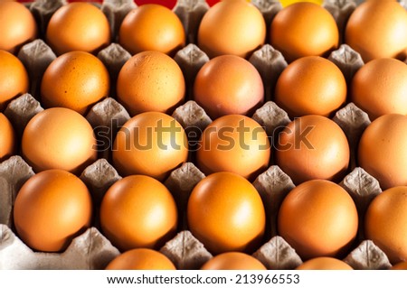 cardboard tray filled with brown eggs
