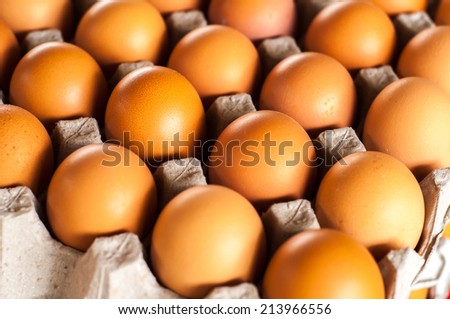 cardboard tray filled with brown eggs