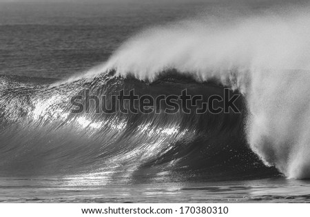 Ocean Wave Black And White Black and white image of an ocean wave before it crashes down.
