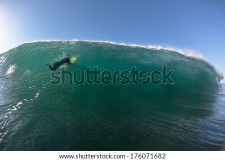 Surfer Dolphins Wave Surfing Ocean Dolphins Encounter  surfer face to face surfing wave swell before crashing onto shallow reef.