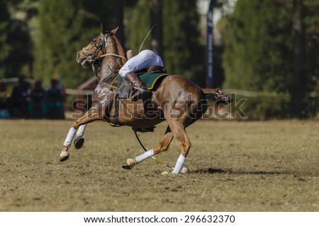 Polo-Cross Horse Rider\
Polo-Cross Player rider horse action scoops ball with racket net play equestrian fields.