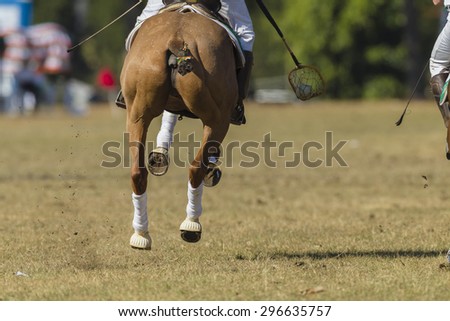 Polo-Cross Horse Abstract\
Polo-Cross Rider Horse pony abstract equestrian sport  game action
