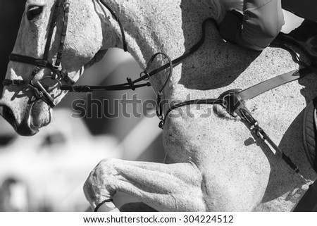 Horse Rider Jumping Closeup\
Rider horse action closeup at national equestrian show jumping championship