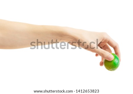 Men's hand puts down a whole lime isolated on white background. Hand lowers down lime Foto stock © 