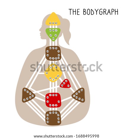 Human Design BodyGraph. Nine colored energy centers