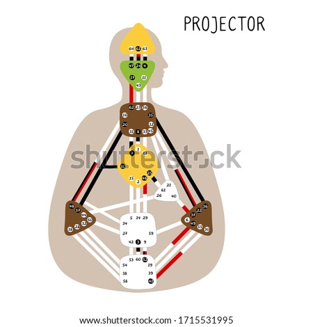 Projector. Human Design BodyGraph. Nine colored energy centers