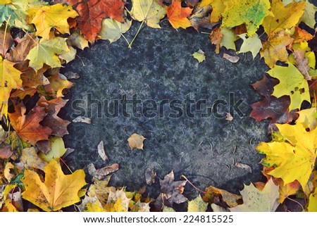 Autumn leaves on pavement in a shape of frame