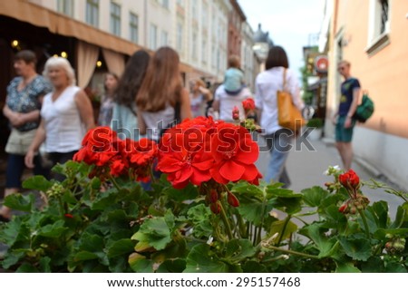 LVIV, UKRAINE - JUNE 29, 2015: cityscape of Lviv downtown, summer flowers and people