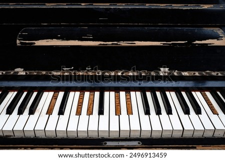 Similar – Image, Stock Photo abandoned old piano in a green field