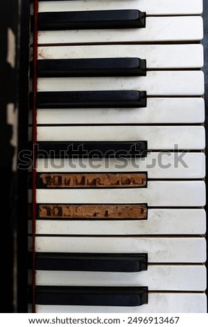 Similar – Image, Stock Photo abandoned old piano in a green field