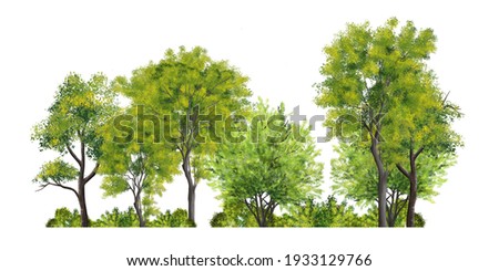abstract watercolor green tree side view isolated on white background  for landscape and architecture layout drawing, elements for environment and garden, tree elevation