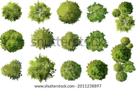 Vector tree top view isolated on white background  for landscape plan and architecture layout drawing, elements for environment and garden