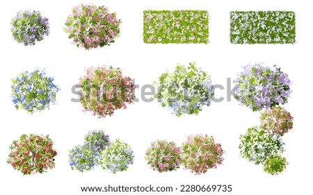 Vector watercolor of blooming tree top view isolated on white background for landscape plan and architecture drawing, elements for environment and garden,botanical elements ,blooming flowers in spring