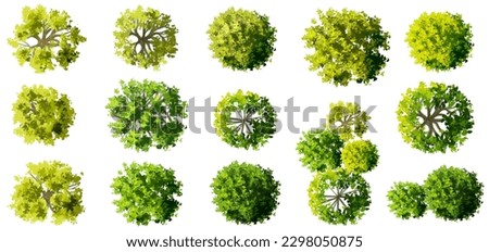 Vector watercolor of green tree top view isolated on white background for landscape layout plan and architecture drawing, elements for environment and garden,blooming botanical elements