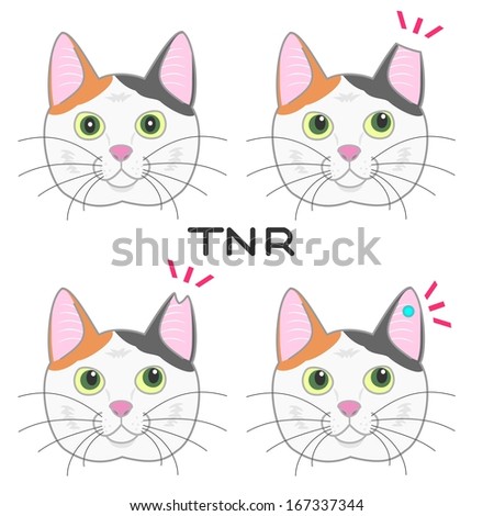 ear cut cats,TNR action