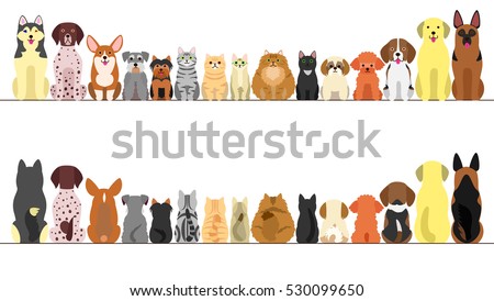 Cat Adoption Database Cat Adoption Database