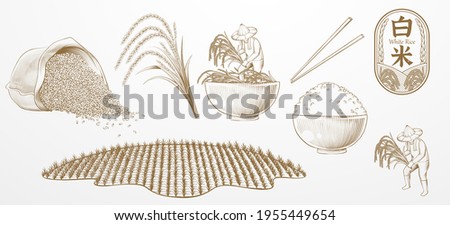 Rice farming elements designed in vintage engraving style, isolated on white background.
