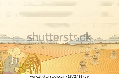 3d wooden etching illustration of a farmer harvesting on the paddy field scene