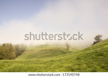 A landscape with green hills and fog. It is early in the morning, so there is mist rising from the fields of grass.