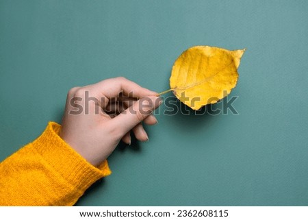 Image, Stock Photo Hand holding an autumn leaf