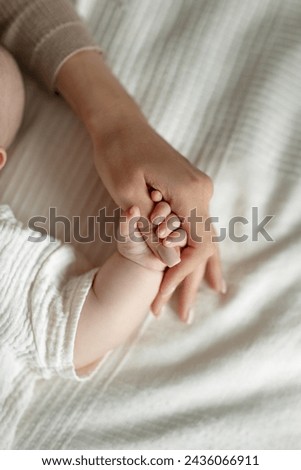 Similar – Image, Stock Photo Close-up of woman holding freshly picked organic carrtos from garden