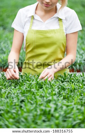 Making the world green. Cropped image of woman in apron taking care of plants while standing in greenhouse