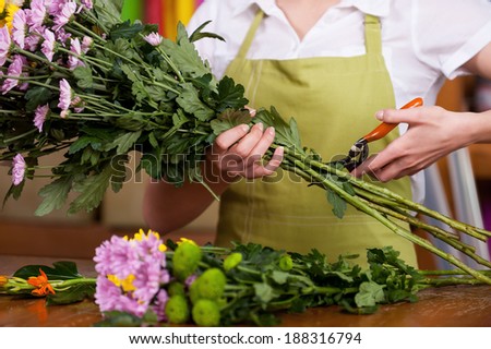 Florist at work. Cropped image of female florist in apron cutting flowers