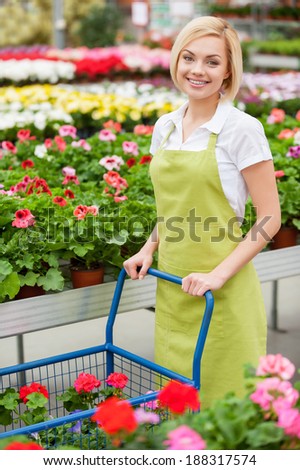 My job is my passion. Top view of beautiful young woman in apron using a cart full of potted plants and while standing in a greenhouse