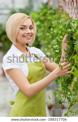 Woman gardening. Beautiful young woman in apron gardening and looking at camera