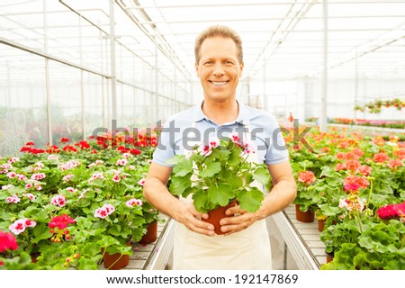 It is my favorite flower. Handsome mature man in apron holding a potted plant and smiling while standing in a greenhouse