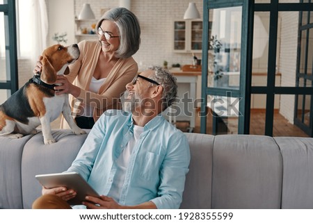Happy senior couple in casual clothing smiling and taking care of their dog while bonding together at home