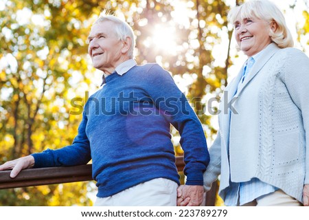 Enjoying beautiful day together. Happy senior couple holding hands and moving down by wooden staircase