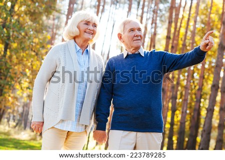 Just look at that! Low angle view of happy senior couple holding hands and walking by par while man pointing away