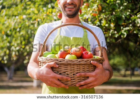 Gardener with rich harvest. Cropped image of young gardener holding basket with apples and smiling while standing in the garden