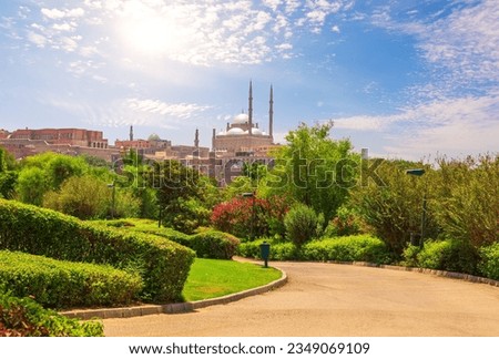 Similar – Image, Stock Photo mosque and green palm trees against a clear blue sky in Egypt