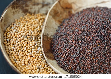 Brown and yellow mustard seeds