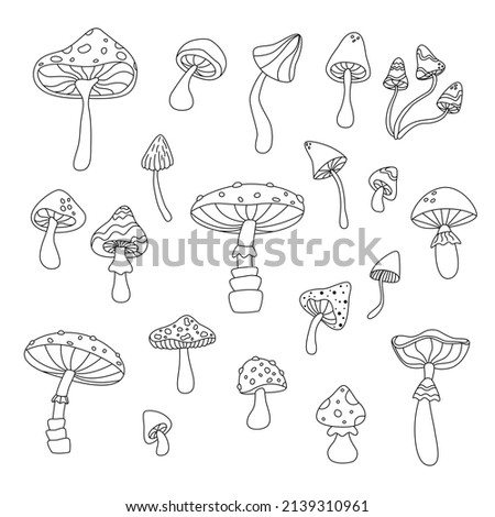 Set of outline mushrooms. Hand drawn vector illustration