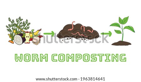 Schema of recycling organic waste from collecting kitchen scraps to use compost for gardening. Recycling organic waste. Zero waste concept. Hand drawn vector illustration.