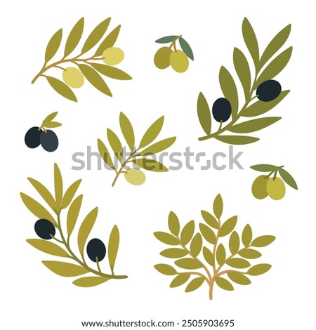 Set of vector logos of olive branch, tree, leaves and drops. Modern hand drawn vector olive oil icons. Branding concept for olive oil company, organic, eco-friendly products and culinary services