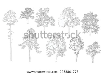Minimal style cad tree line drawing, Side view, set of graphics trees elements outline symbol for architecture and landscape design drawing. Vector illustration in stroke fill in white. 