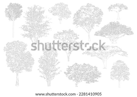 Minimal style cad tree line, Side view, set of graphics trees elements outline symbol for architecture and landscape design drawing. Vector illustration in stroke fill in white. Tropical