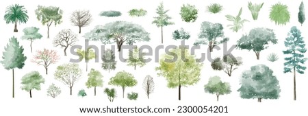Tree watercolor, Side view green painting, set of graphics trees elements outline symbol for architecture and landscape design drawing. Vector illustration in stroke fill . Tropical, oak, maple