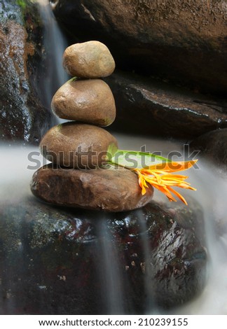A relaxing image of a wild flower on stack of zen rock with flowing water around it.